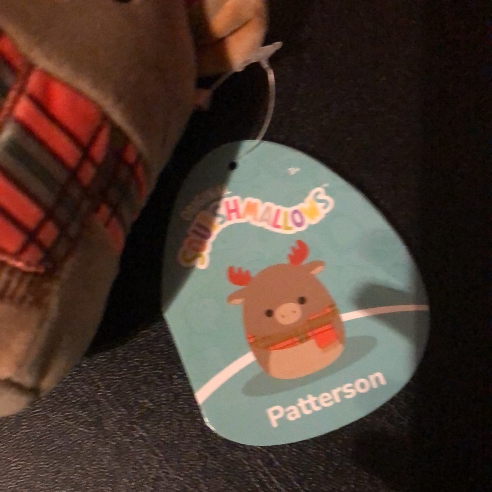 Patterson squishmallows - Picture 3 of 4